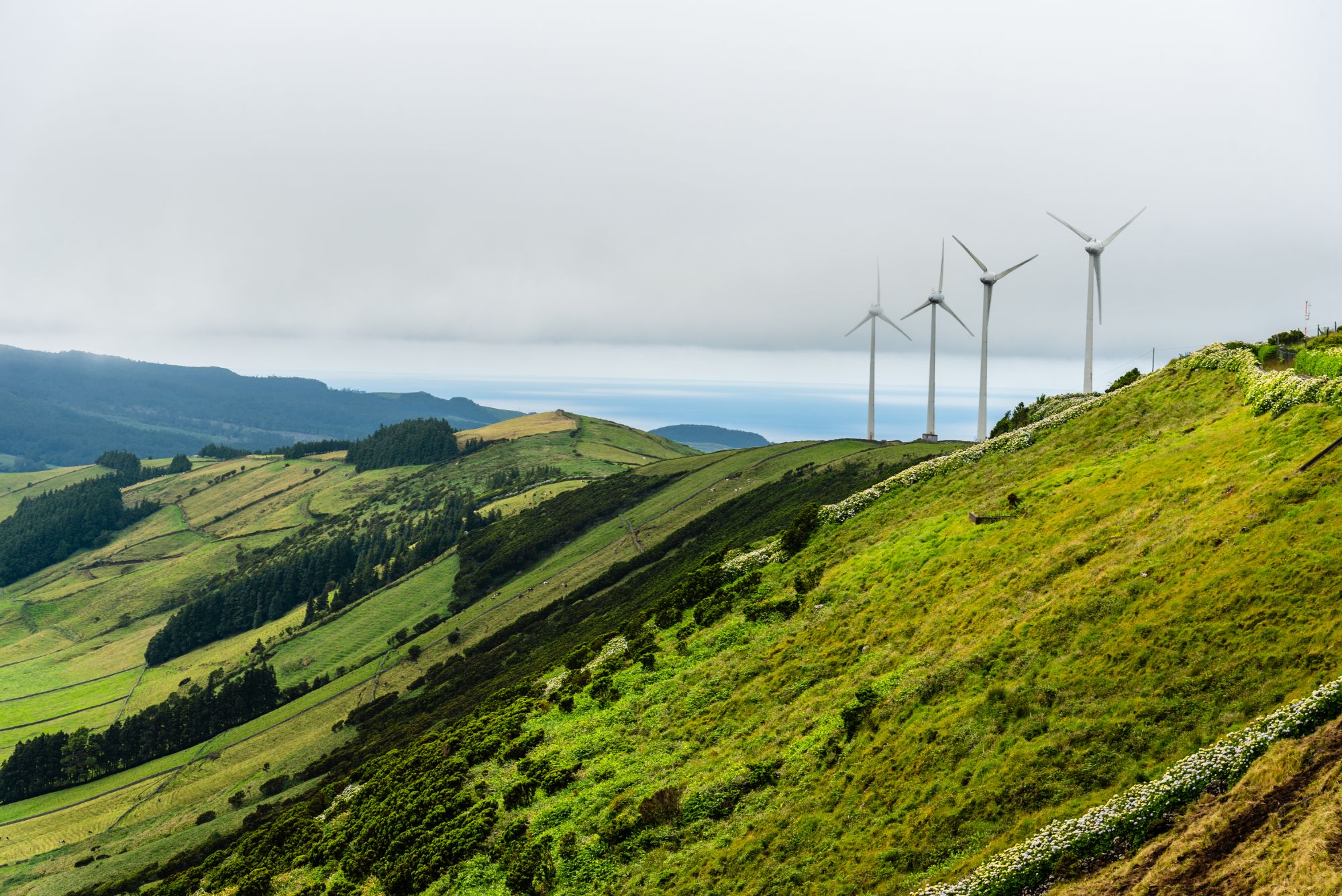 Exploring Bioenergy: A Cleaner Way to Power the Future panoramic view of wind farm or wind park with high b2ekhpm